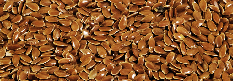 Flax Seed/Lin Seed