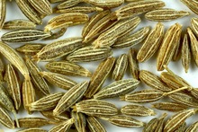 Bharathi International Cumin Seed