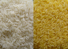 Somnath basmati rice, Color : White