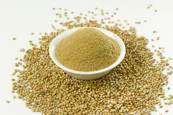 Green Coriander Powder, Packaging Type : Plastic Bag, Plastic Pouch