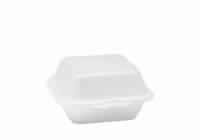 Foam Containers