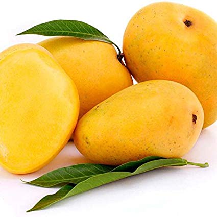 Yellow Organic Fresh Alphonso Mango, for Juice Making, Direct Consumption, Packaging Size : 10-20kg