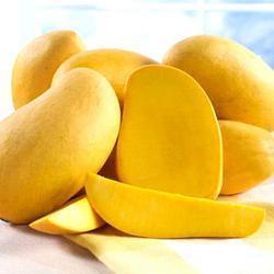 Organic fresh banganapalli mangoes, for Food Processing, Juice Making, Feature : Fressness, Hand Picked