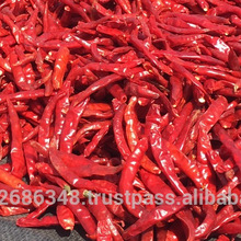 Raw dry red chilli