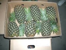 Fresh Pineapple, Certification : HEALTH