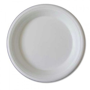 foam plate