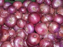 Common fresh red onion, Certification : APEDA, ISO
