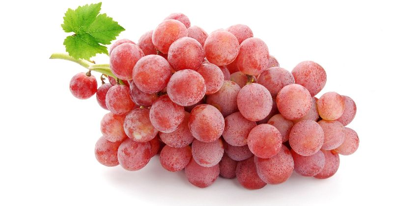 Organic Fresh Pink Grapes, Shelf Life : 7-10days