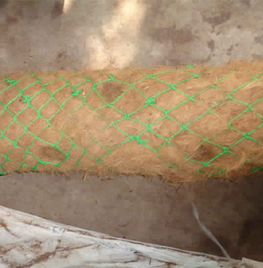 Coir Log With Poly Proplene Netting