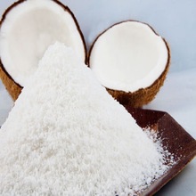 FT premium Common Desicated Coconut Powder
