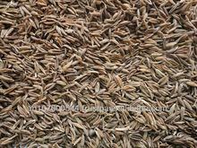 Cumin seeds, Certification : SGS