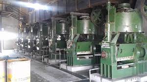 Electric 100-1000kg Oil Mill Plant, Voltage : 110V, 220V, etc
