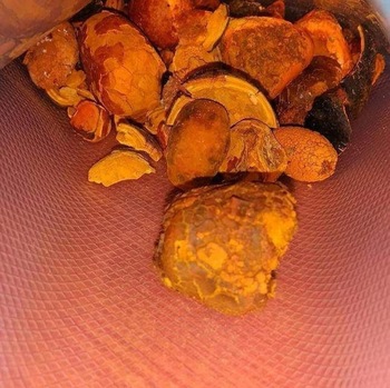 100% 80/20 Cow/Ox/Cattle Gallstones for Sale