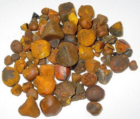 Super Dried Cow Ox Gallstones