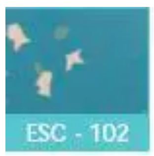 ESC-102 ESD Tile