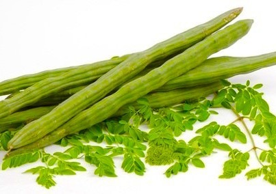 Organic Green Drumstick, Feature : Good In Taste, Healthy