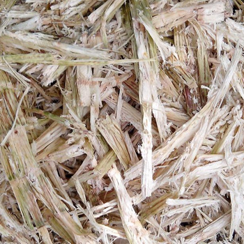 Sugarcane Bagasse For Making Biofuel