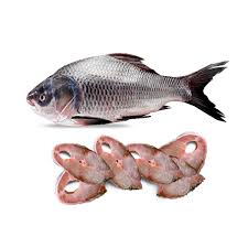Frozen Katla Fish, for Human Consumption, Making Oil, Packaging Type : Vaccum Packed