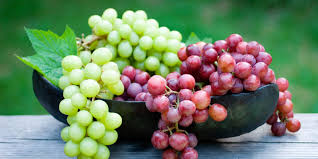 Organic fresh grapes, Shelf Life : 7-10days