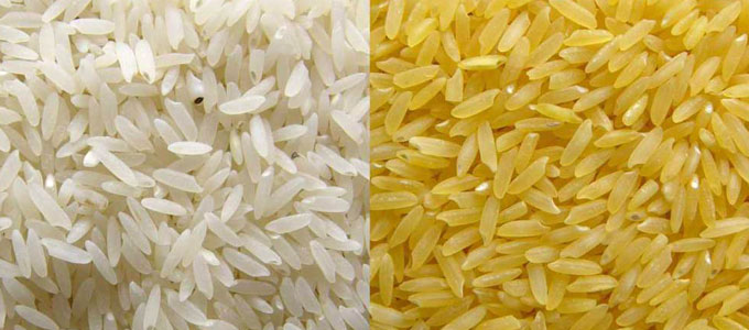 Parmal Sella Non Basmati Rice, for Gluten Free, Certification : FSSAI Certified