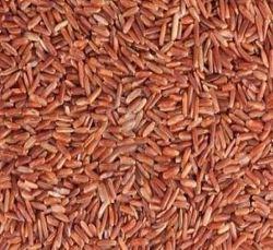 Hard Organic Red Non Basmati Rice, for Human Consumption, Certification : FSSAI Certified