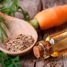 Carrot Seed Oil, Grade : Cosmatic Grade