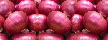 Organic Onion, Packaging Type : Jute Bags, Plastic Bags