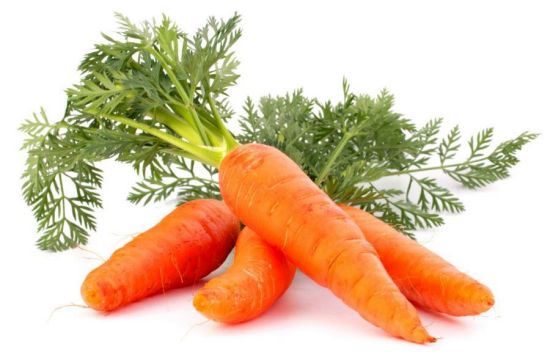 Organic Fresh Carrot, for Food, Pickle, Snacks, Color : Red