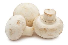 Fresh Mushroom, Color : White