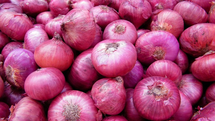 fresh onion