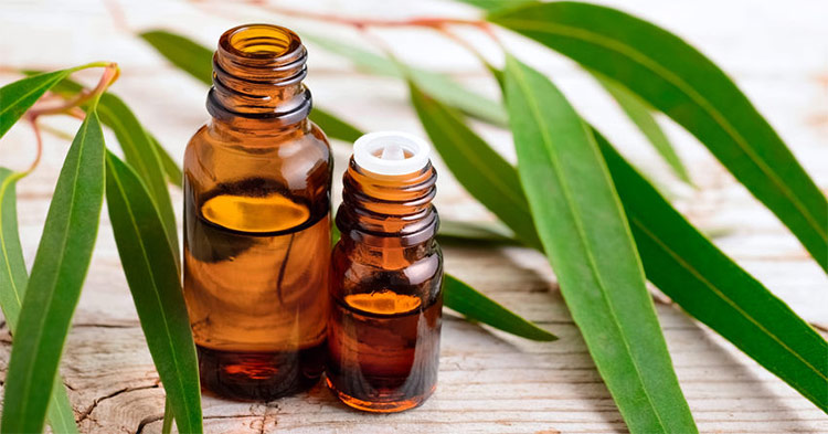 Eucalyptus Essential Oil, for Infections, Feature : Aid Wound Care