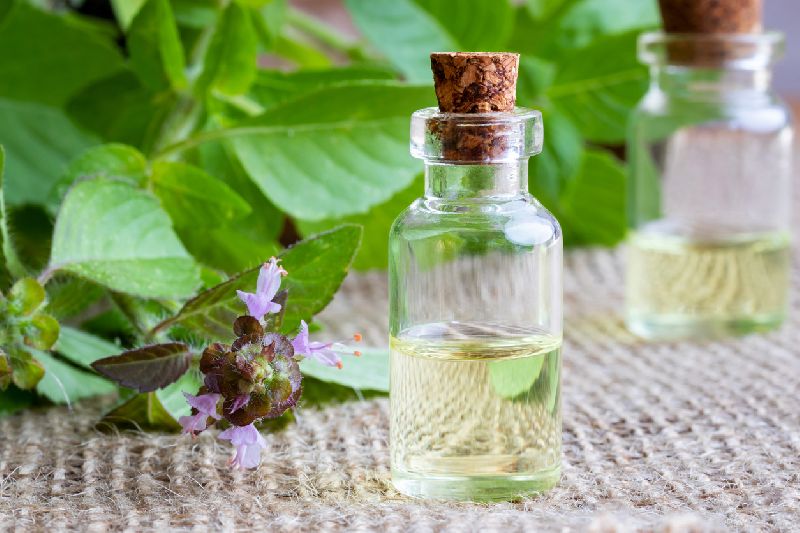 Organic Holy Basil Essential Oil, for Ayurvedic Remedies, Form : Liquid