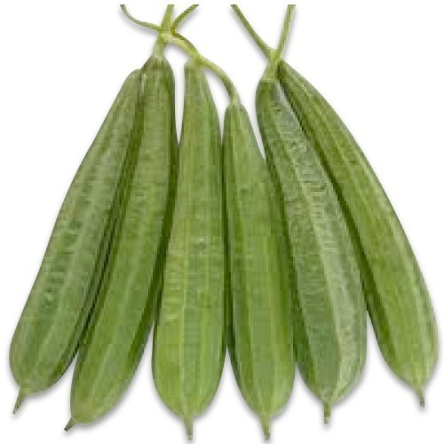 Natural Fresh Sponge Gourd, for Human Consumption, Cooking, Packaging Type : Plastic Packet, Plastic Bag