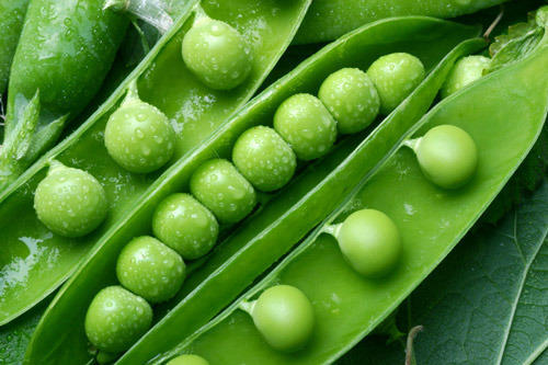 Organic Green Peas