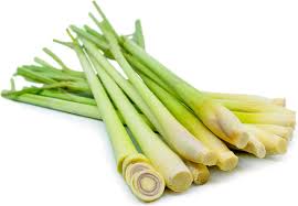 Organic Fresh Lemongrass, for Agriculture, Feature : Fast Growth