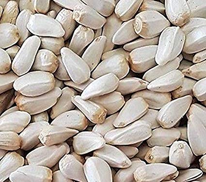 Kusum Seeds, Purity : 100%