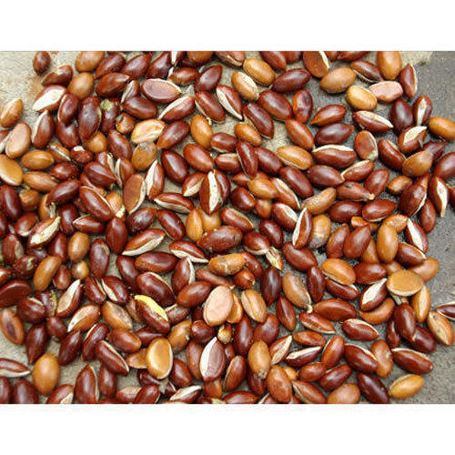Organic Mahua Seeds