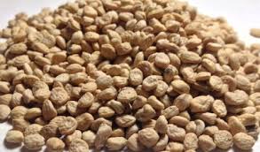 Organic sarpagandha seeds, Purity : 99.9%