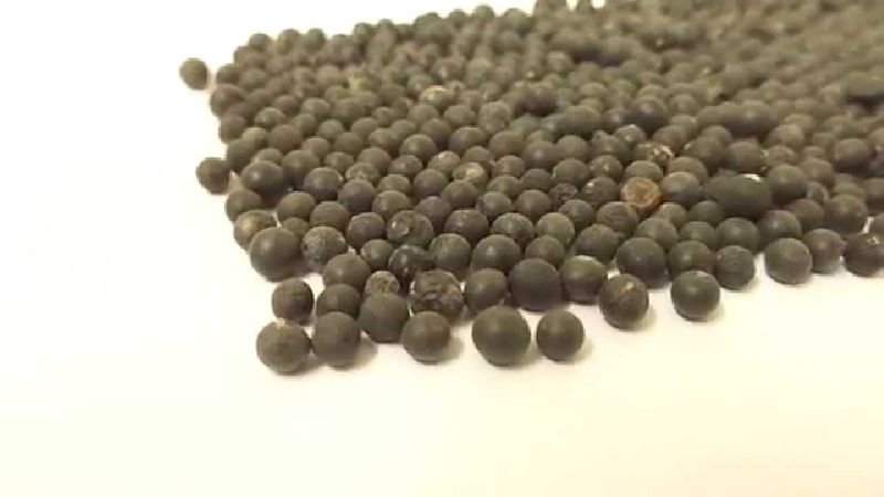 Organic Yellow Shatavari Seeds, Packaging Size : 15-20kg