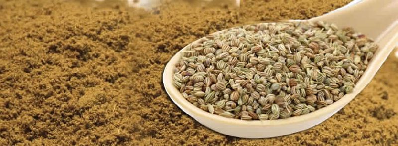 Ajwain Seeds and Powder, Purity : 99.00%