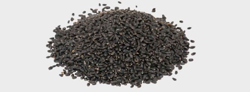 KGCPL basil seeds, Packaging Type : 20-50Kg Bags