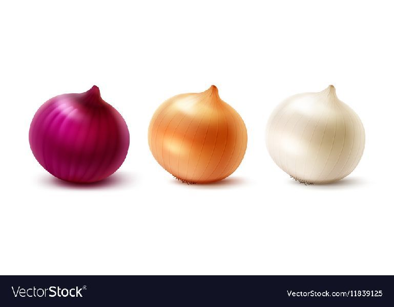 White Onion