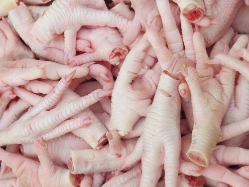 Frozen Fresh Chicken Feet