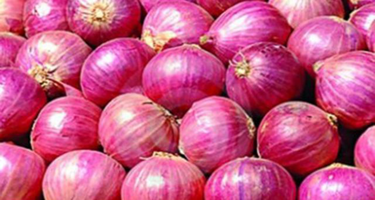 Onions, Shelf Life : 1month