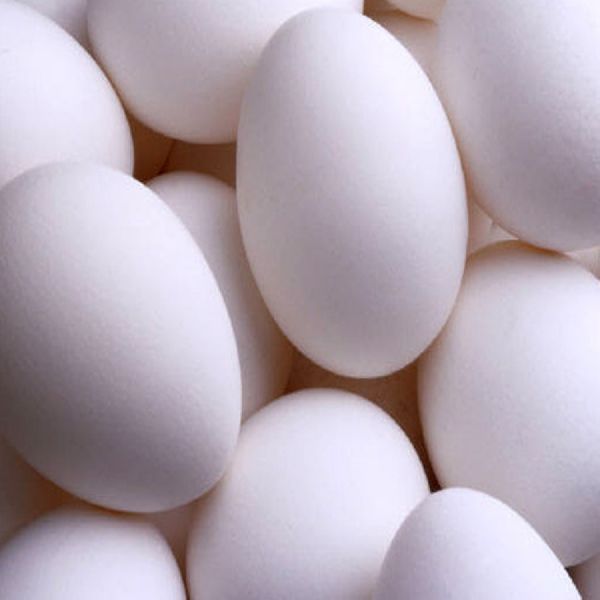 Common Fresh Table Chicken Egg, Packaging Type : White for Bakery