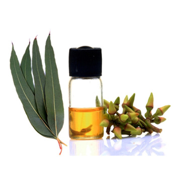 Fresh Eucalyptus Essential Oil