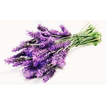 Leaves lavender oil, Form : Form