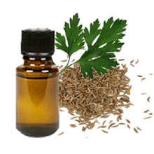 Parsley Seed Oil, Certification : CE, EEC, FDA, GMP, MSDS, HACCP, WHO, HALAL, ISO
