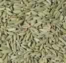 Fennel Seeds