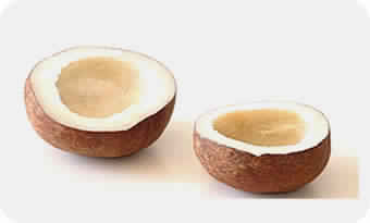 coconut copra